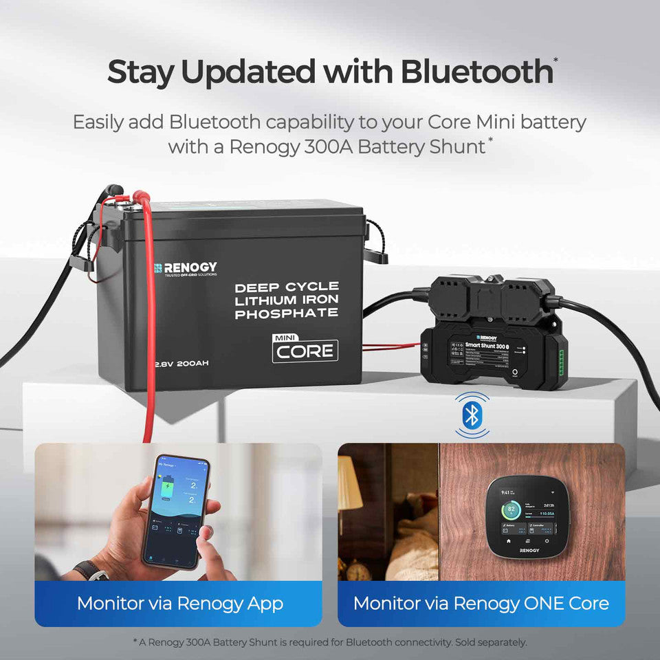 Core Mini - 12.8V 200Ah LiFePO4 Battery w/ Low-Temperature Protection