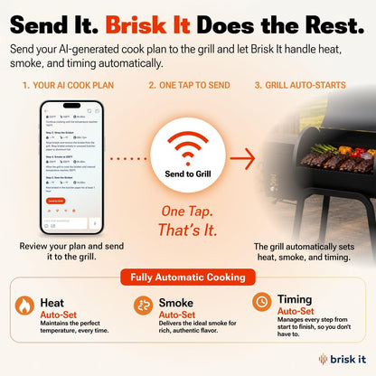 Brisk It Zelos-450 WiFi Pellet Grill & Smoker