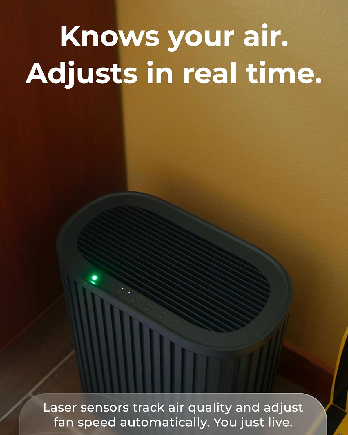 Windmill Air Purifier Max – 3-in-1 Filtration