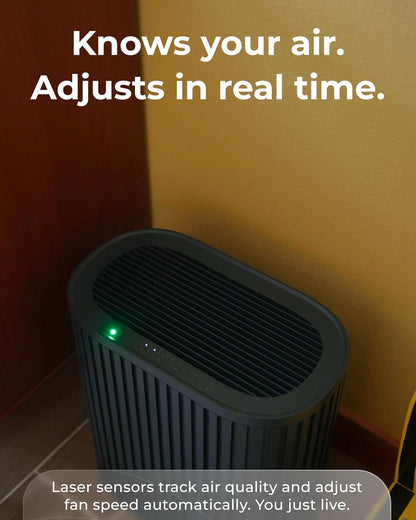 Windmill Air Purifier Max – 3-in-1 Filtration