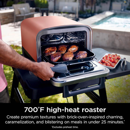 Ninja Woodfire Oven & Smoker, 8-in-1