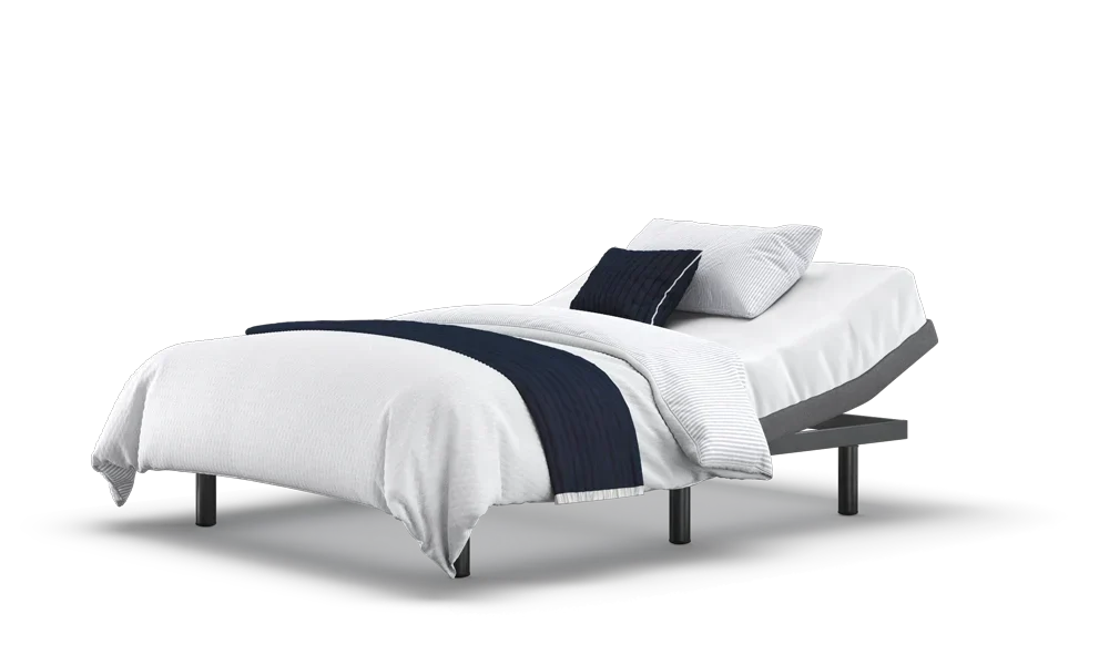 Motion Adjustable Bed Base